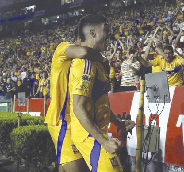 ¡CON DRAMA Y POLÉMICA VAN LOS TIGRES A SEMIS!
