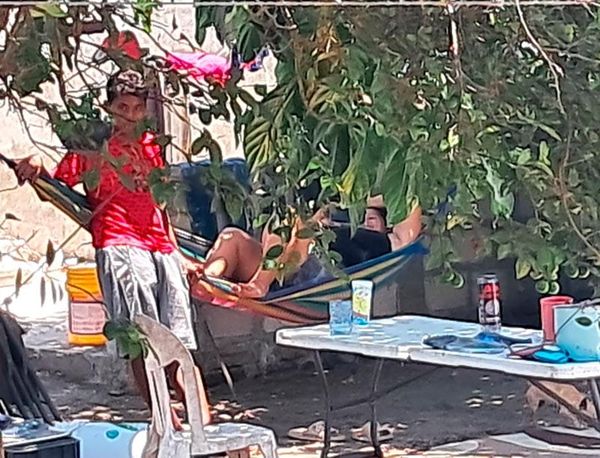 ¡DENUNCIAN A INVASORES DE TERRENOS!