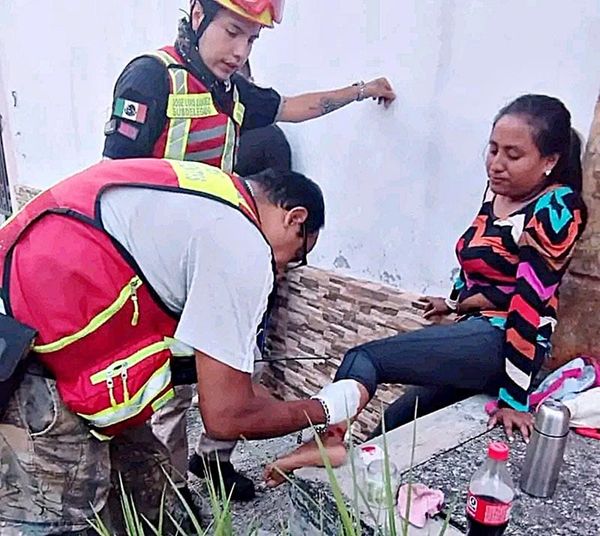¡PERRO MORDIÓ A AMA DE CASA!
