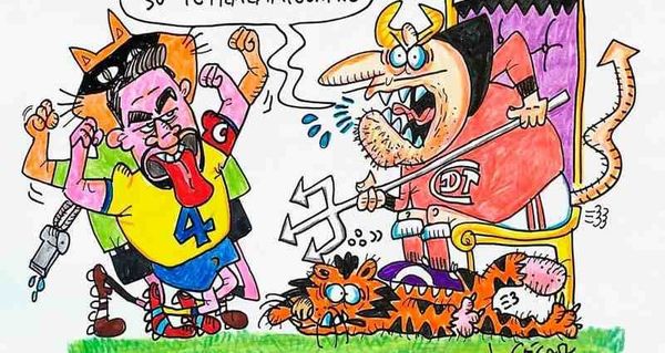 LOS CARTONES