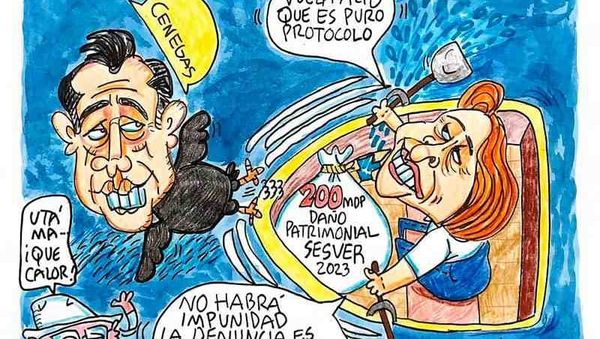 LOS CARTONES