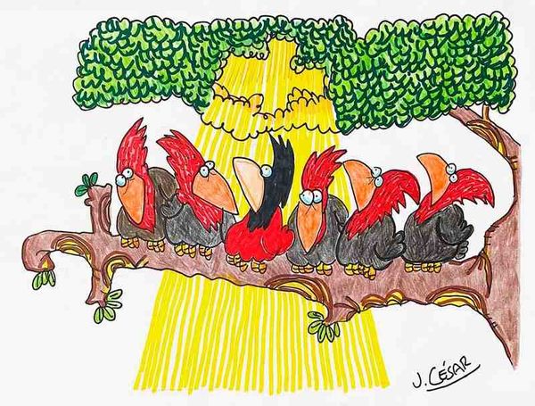 LOS CARTONES