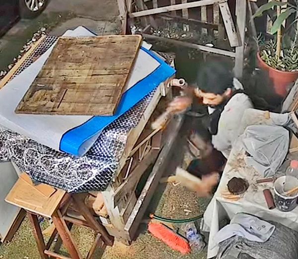 ¡ESTÁN HASTA LA CORONILLA POR RATERO QUE ROBA A SUS VECINOS!