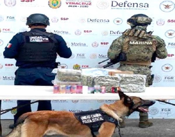 ¡MARINA Y SSP ASEGURAN MARIHUANA EN POZA RICA!