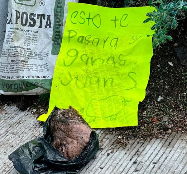¡LOS AMENAZAN! - **Hasta cabeza de cochino les dejaron
