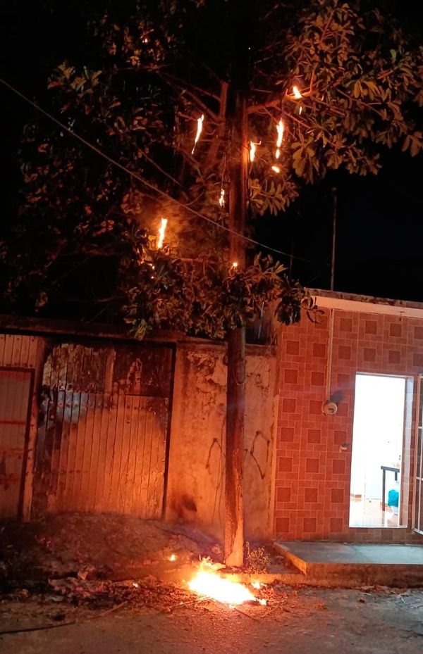 ¡SALÍA LUMBRE EN POSTE DE TELMEX!