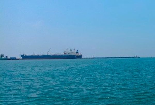 ¡SE BLANQUEAN LOS CORALES POR EL CALENTAMIENTO DEL MAR!