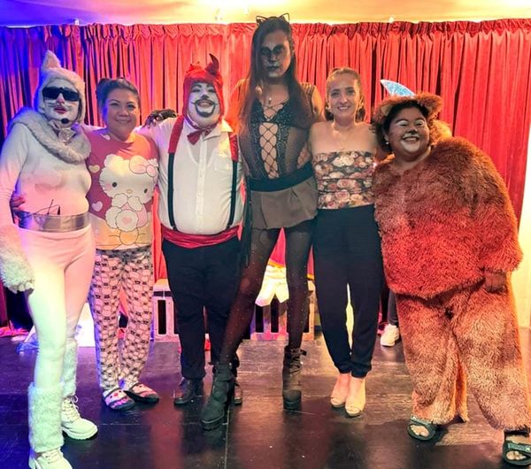 PRESENTAN OBRA PARA AMANTES DE LOS GATOS