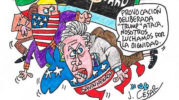 LOS CARTONES