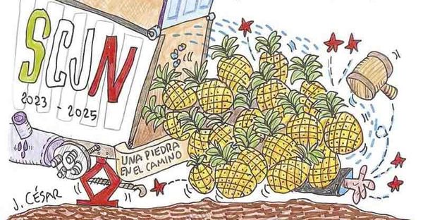 LOS CARTONES