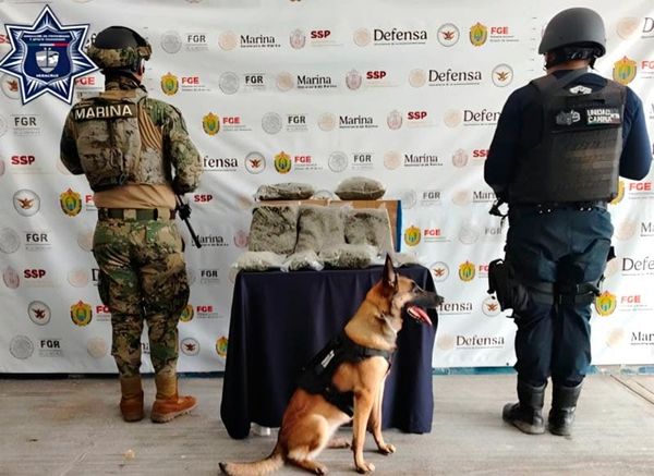 ¡ASEGURAN 4 KILOS DE MARIHUANA EN EMPRESA DE PAQUETERÍA!
