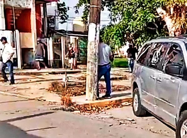 ¡ABUELITO MUERE AL CAER DE ÁRBOL QUE PODABA!