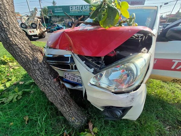 ¡SIGUEN LOS ‘TORTAZOS’ EN LA AVENIDA CUAUHTÉMOC!