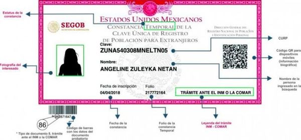 ¡YA HAY INTERNET PARA LA SACAR CURP BIOMÉTRICA!