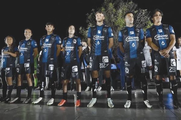 ¡YA VENDIERON A GALLOS BLANCOS DE QUERÉTARO!