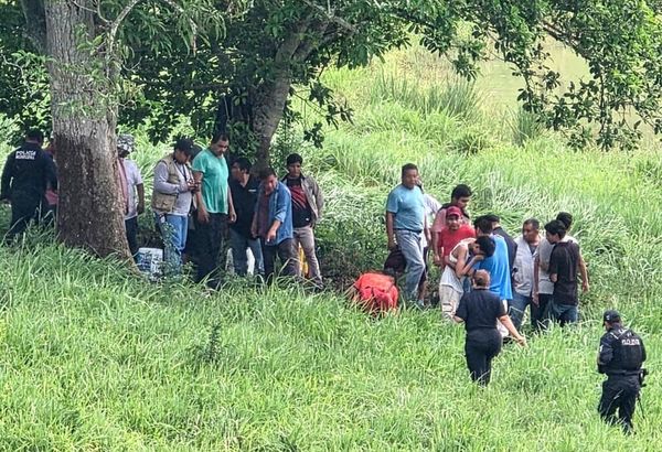 ¡CAE RAYO SOBRE ÁRBOL Y MATÓ A JORNALERO!