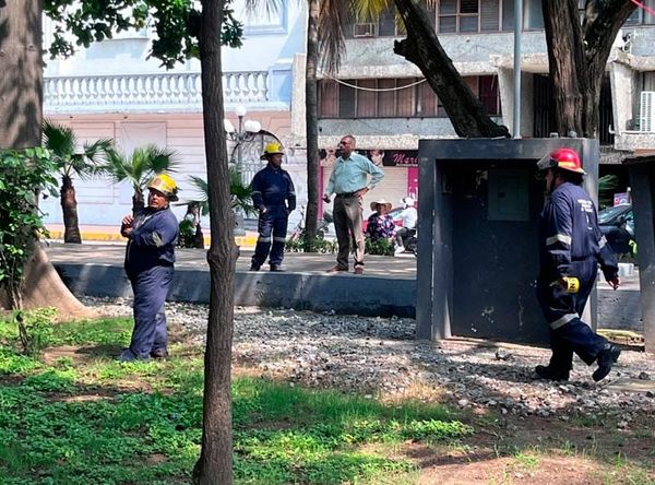 ¡PÁNICO POR ENJAMBRE DE ABEJAS EN EL PARQUE ZAMORA!