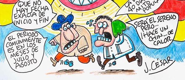 LOS CARTONES