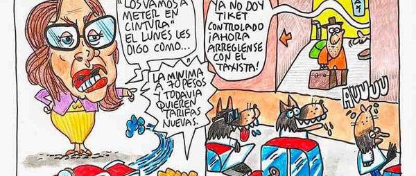 LOS CARTONES