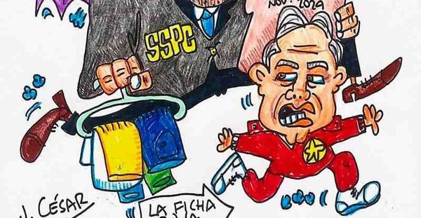 LOS CARTONES