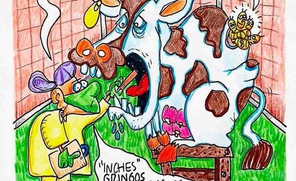 LOS CARTONES