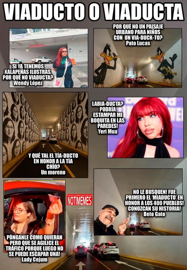 NOTI-MEME | - VIADUCTO O VIADUCTA