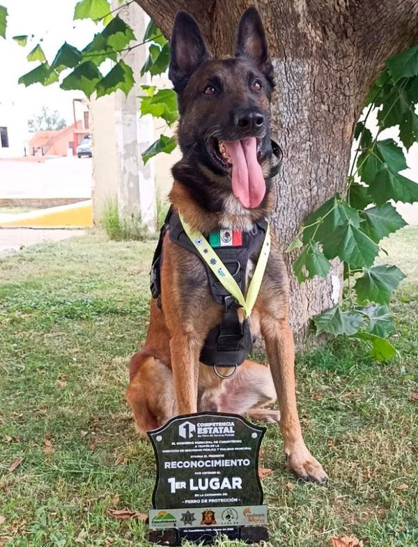 ¡“CANELO“ SE TRAE EL PRIMER LUGAR!