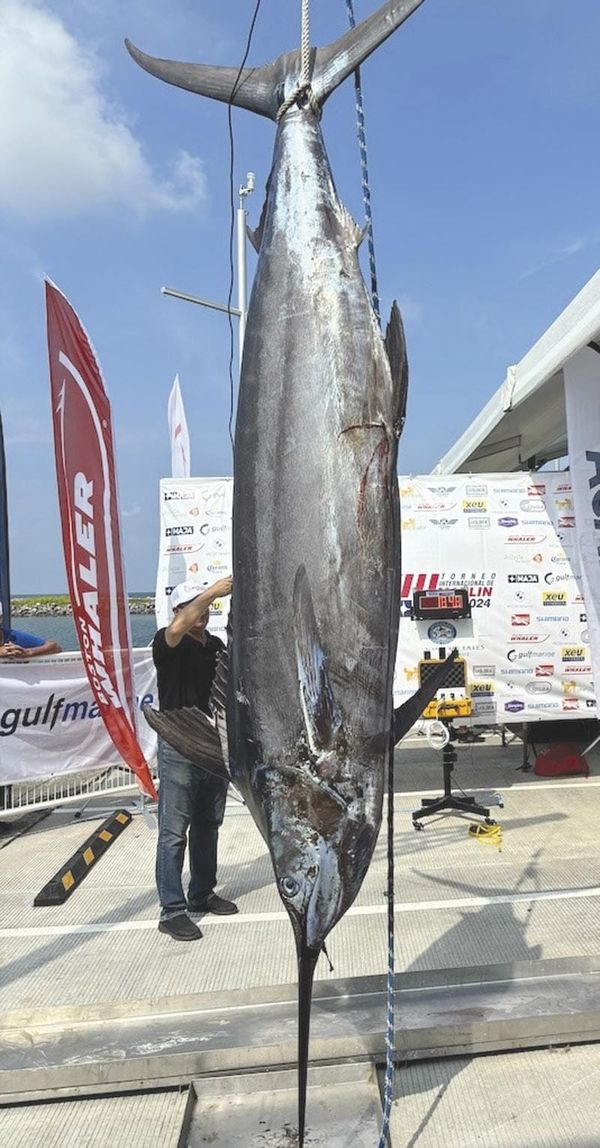 ¡AFINAN DETALLES! - *Para el Torneo internacional del Marlin