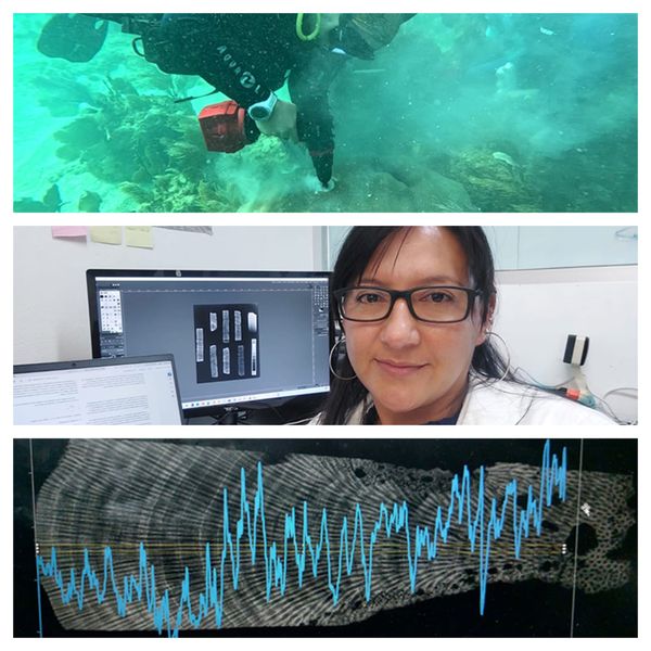 ¡GENIOS DE LA UV ESTUDIAN CORALES!
