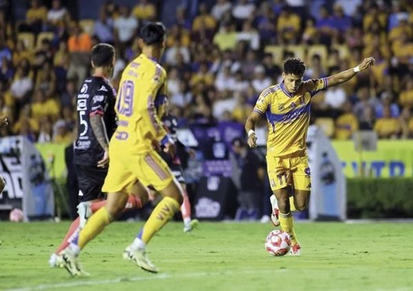 ¡TIGRES SACA LAS GARRAS Y DESTROZA 7-0 A PUEBLA!