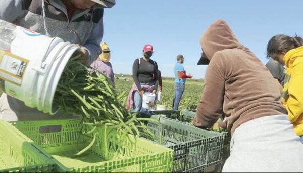 ¡MÉXICO REGISTRÓ LA MAYOR PÉRDIDA DE EMPLEOS PERMANENTES DESDE 2015!