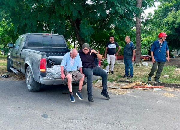 ¡ENJAMBRE DE ABEJAS ATACÓ A ADULTO MAYOR!