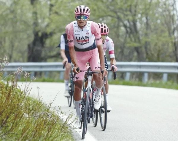 ¡RODARÁ DEL TORO AHORA EN ALEMANIA!