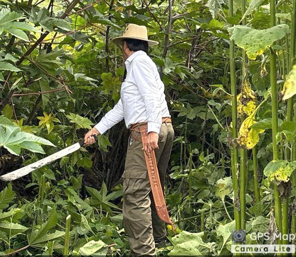 ¡REAPARECE CUI! - Y CHAPEANDO