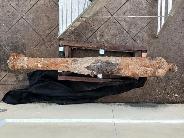 ¡SE LOS LLEVA EL INAH!