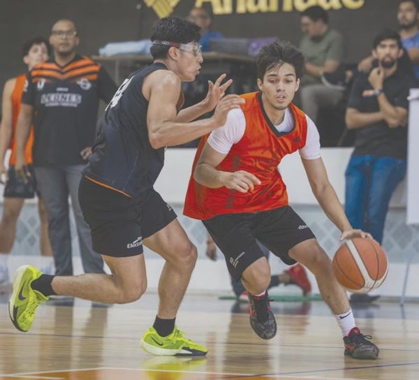 ¡LISTOS LEONES ANÁHUAC XALAPA PARA DEBUTAR EN TRES DEPORTES!