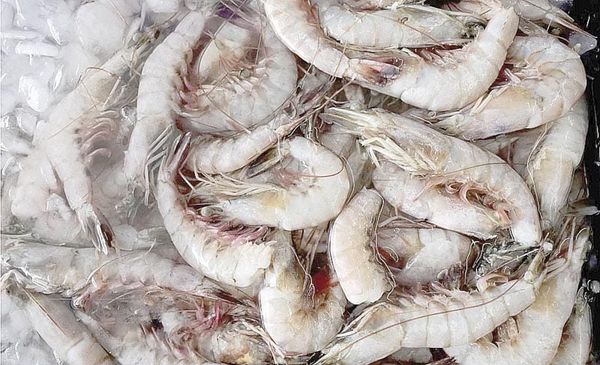 ¡WALMART RETIRA CAMARONES CONGELADOS EN EU!