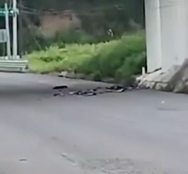 ¡YA IDENTIFICARON A 5 DE LOS DESCUARTIZADOS EN PAPANTLA!