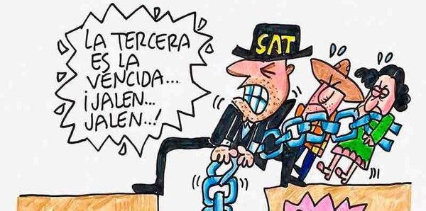LOS CARTONES