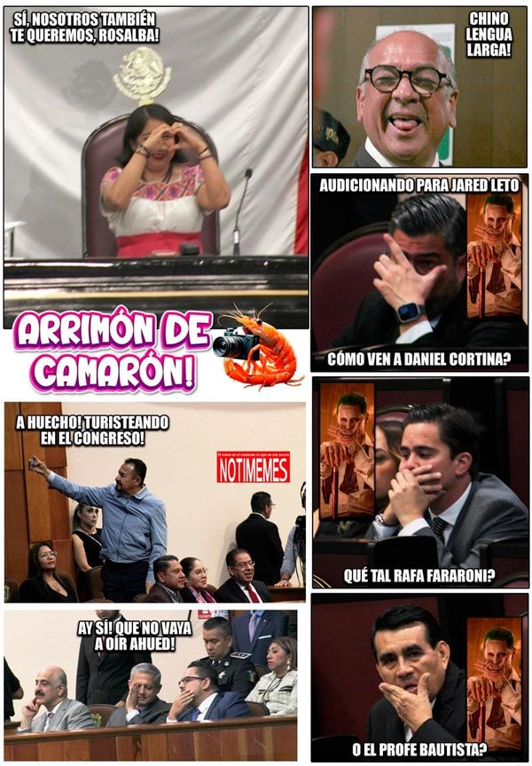 NOTI-MEME | - ARRIMÓN DE CAMARÓN!