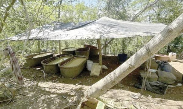 ¡ASEGURAN 21 TONELADAS DE METANFETAMINA EN DURANGO!