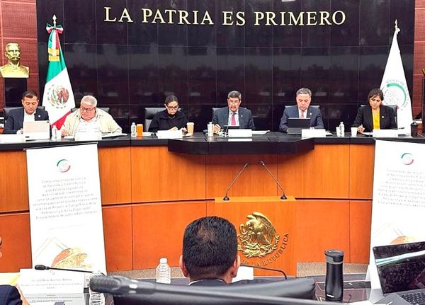 ¡COLEGIO DE ABOGADOS VS. LA REFORMA A LEY DE AMPARO! - ÁGARRENSE