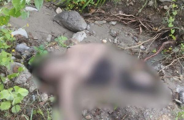 ¡ASESINAN A “LA MONSE”!