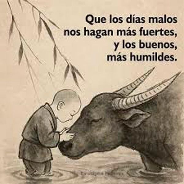 VIVIENDO CON SENTIDO | LA INDIFERENCIA - La cualidad más atractiva en un hombre no es su apariencia, ni el dinero que tiene, ni la labia con la que intenta impresionar. La verdadera cualidad...