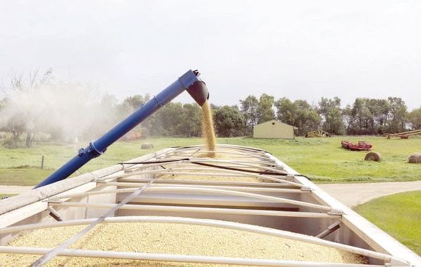 ¡EL DESAIRE DE CHINA A LA SOYA ESTADOUNIDENSE ES UNA CRISIS PARA LOS AGRICULTORES DE EU!