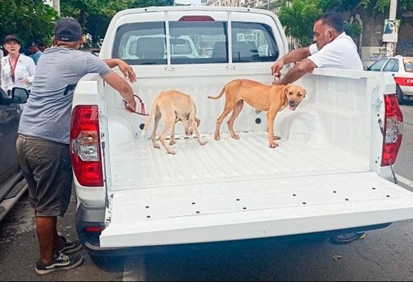 ¡PMA SE LLEVA A TODOS!