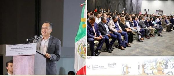 ¡‘CHIMOLTRUFIO’! - ÚJULE