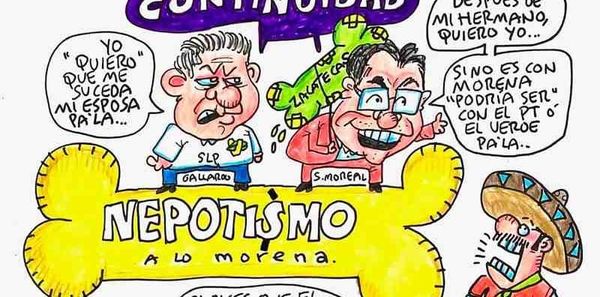 LOS CARTONES