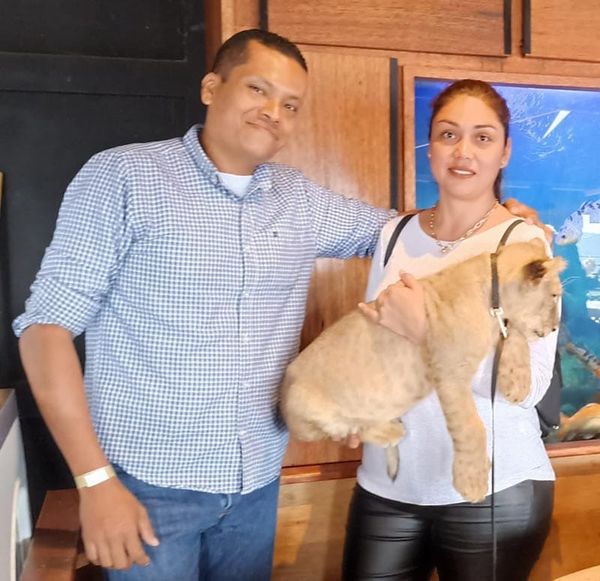 ¡ASESINAN A DOS COMERCIANTES! - EN ÁLAMO