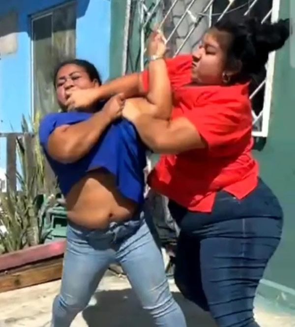 ¡BATALLA CAMPAL DE DAMAS POR UN PITBULL!